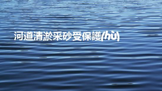 河道清淤采砂受保護(hù)嗎清淤工程如何提升水體生態(tài)？專家解密施工技巧與實(shí)戰(zhàn)經(jīng)驗(yàn)！